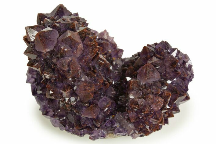 Thunder Bay Amethyst Cluster with Hematite - Top Quality! #326405